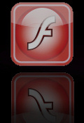 Flash Version